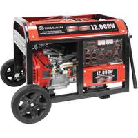 Electric Start Gas Generator with Wheel Kit, 12000 W Surge, 9000 W Rated, 120 V/240 V, 31 L Tank FMT Sales Ltd
