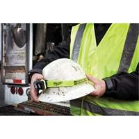 Intrinsically Safe Spot/Flood Headlamp, LED, 310 Lumens, 40 Hrs. Run Time, AAA Batteries FMT Sales Ltd
