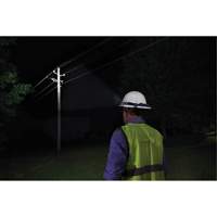 Intrinsically Safe Spot/Flood Headlamp, LED, 310 Lumens, 40 Hrs. Run Time, AAA Batteries FMT Sales Ltd