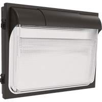Applique murale TWX3, DEL, 347 V, 14" ha x 18" la x 5" p FMT Sales Ltd