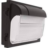 Applique murale TWX, DEL, 480 V, 9 W - 54 W, 14" ha x 18" la x 5" p FMT Sales Ltd