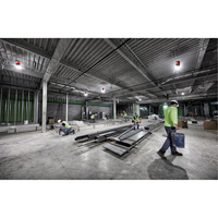 RADIUS Temporary Site Light, LED, 130 W, 15000 Lumens FMT Sales Ltd