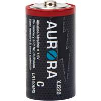 Industrial Alkaline Batteries, C, 1.5 V FMT Sales Ltd