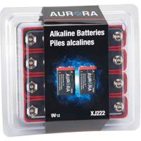 Industrial Alkaline Batteries, 9 V FMT Sales Ltd