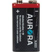 Industrial Alkaline Batteries, 9 V FMT Sales Ltd