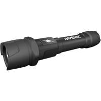 Virtually Indestructible Flashlight, LED, 350 Lumens, AA Batteries FMT Sales Ltd