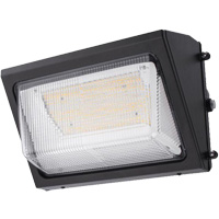Luminaire mural, DEL, 120 -347 V, 80 W FMT Sales Ltd