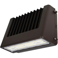 Luminaire mural, DEL, 120 V, 80 W, 6,5" ha x 9,3" la x 14,4" p FMT Sales Ltd