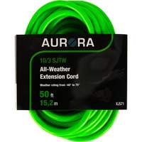Cordon rallonge de calibre industriel, Toutes saisons, SJTW, AWG 10/3, 15 A, 50' FMT Sales Ltd