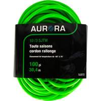 Cordon rallonge de calibre industriel, Toutes saisons, SJTW, AWG 10/3, 15 A, 100' FMT Sales Ltd
