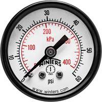 Manom&egrave;tre &eacute;conomique,  2", 0 - 60 psi, Fixation arri&egrave;re, Analogique FMT Sales Ltd