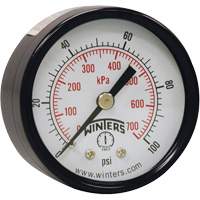 Manom&egrave;tre &eacute;conomique,  2", 0 - 160 psi, Fixation arri&egrave;re, Analogique FMT Sales Ltd