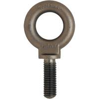 Eye Bolt, 3/4" Dia., 1" L, Uncoated Natural Finish, 650 lbs. (0.325 tons) Capacity FMT Sales Ltd